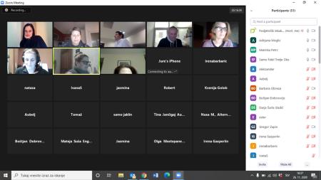 izvedba webinarjev
